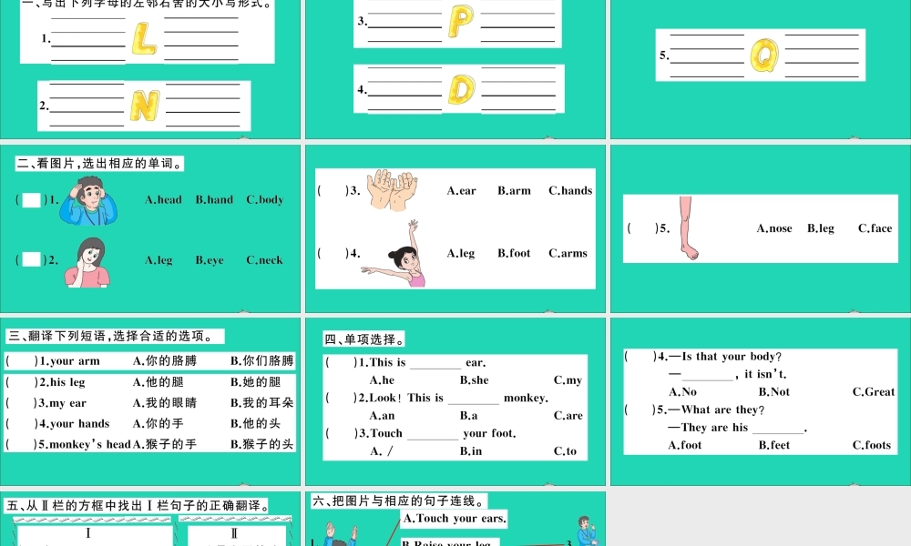 三年级英语上册 Unit 10 Touch your head作业课件 湘少版-湘少版小学三年级上册英语课件