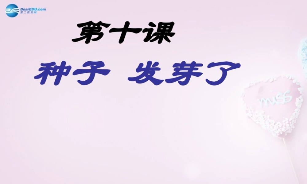 三年级科学下册《种子发芽了》课件1 青岛版