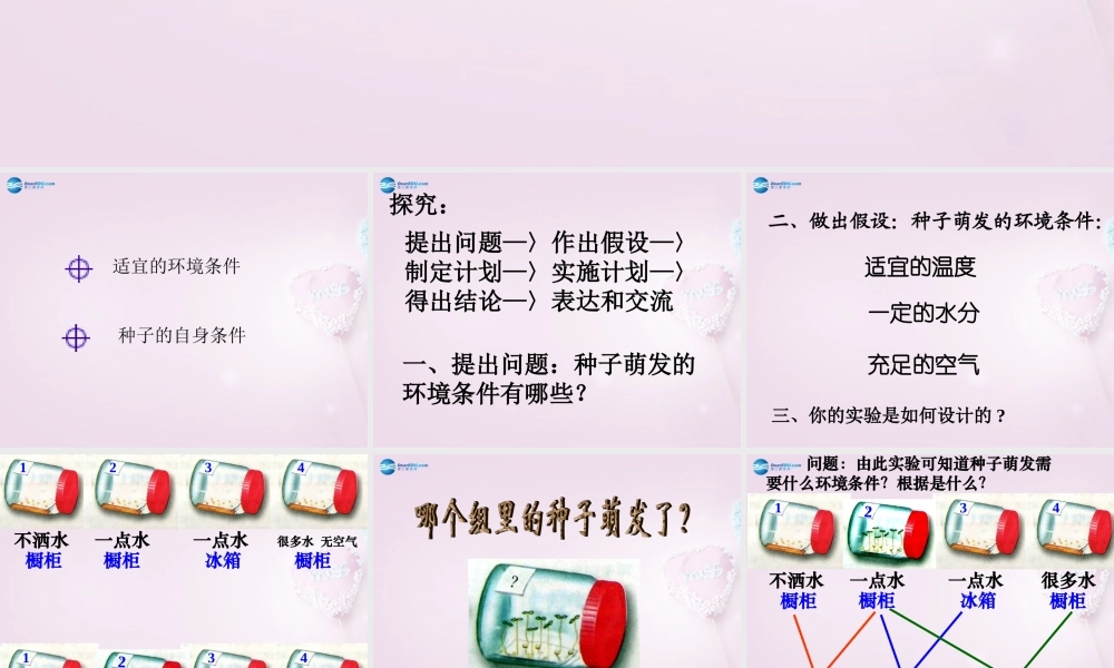 三年级科学下册《种子发芽了》课件1 青岛版