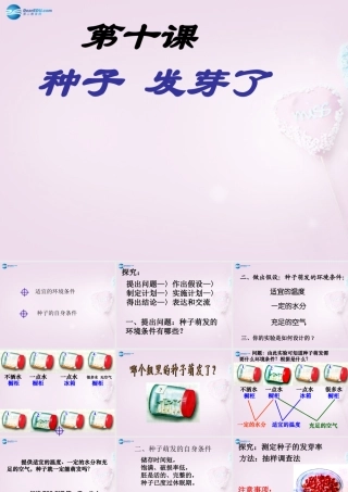 三年级科学下册《种子发芽了》课件1 青岛版