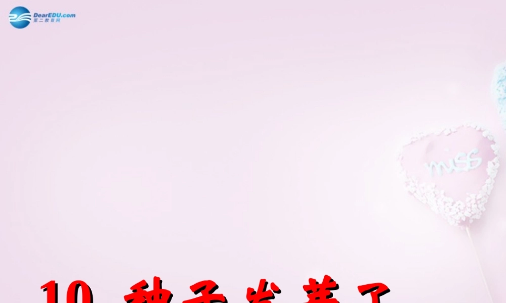 三年级科学下册《种子发芽了》课件2 青岛版