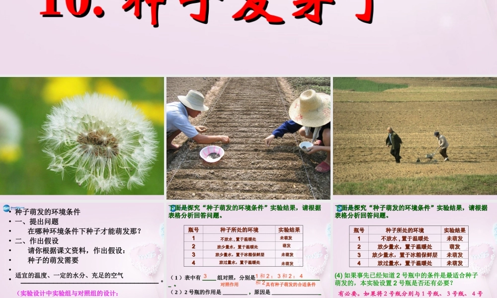 三年级科学下册《种子发芽了》课件2 青岛版