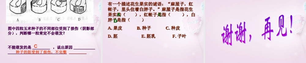 三年级科学下册《种子发芽了》课件2 青岛版