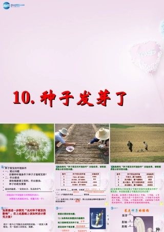 三年级科学下册《种子发芽了》课件2 青岛版