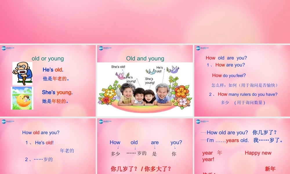 三年级英语上册 Unit 4 Family Lesson 22 How old are you课件 冀教版（三起）-冀教版小学三年级上册英语课件