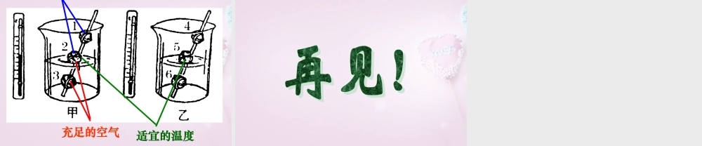 三年级科学下册《种子发芽了》课件3 青岛版