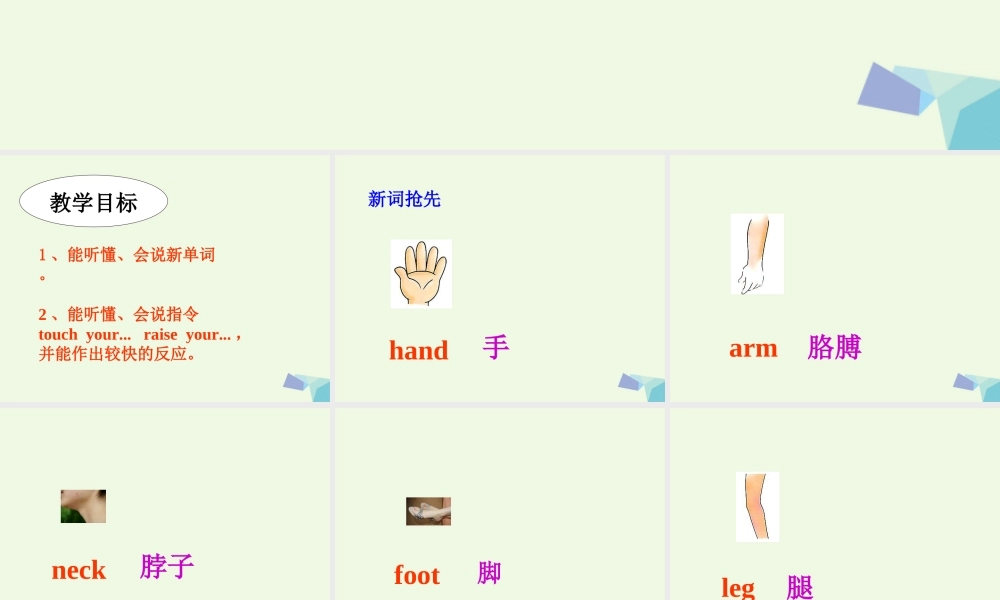 三年级英语上册 Unit 10 Touch yout head课件1 湘少版-湘少版小学三年级上册英语课件