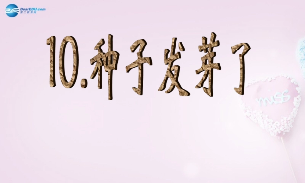 三年级科学下册《种子发芽了》课件4 青岛版