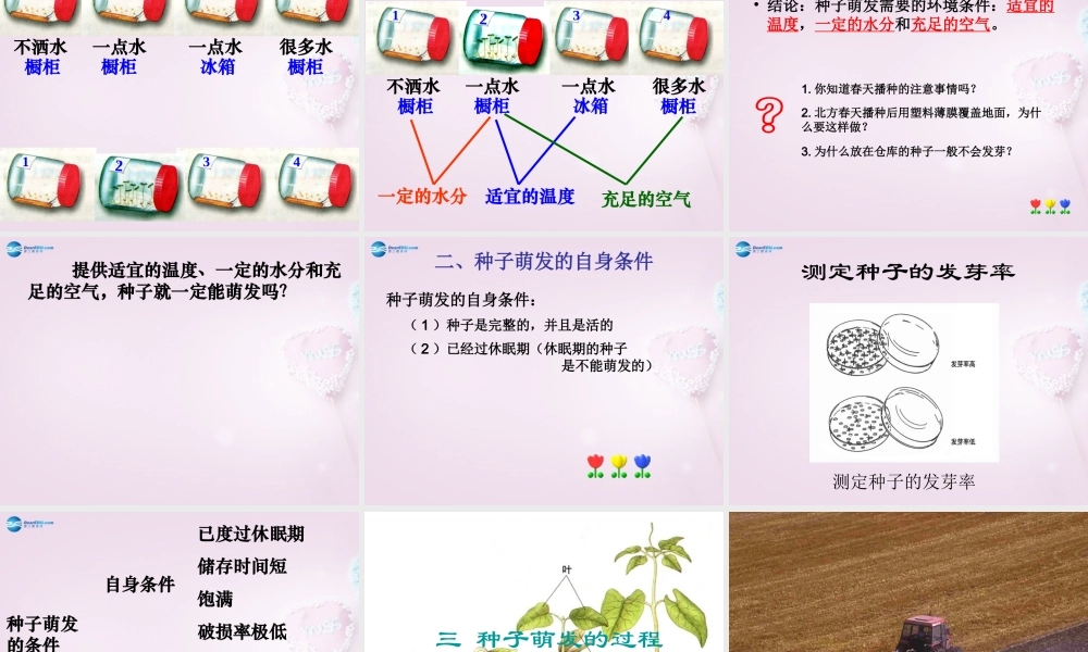 三年级科学下册《种子发芽了》课件4 青岛版