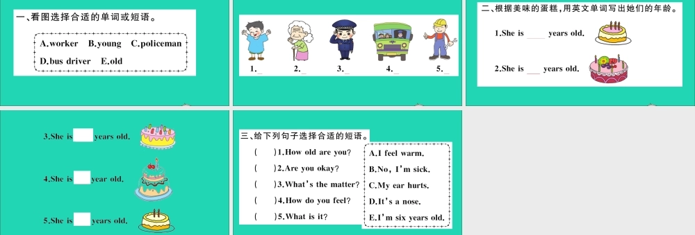 三年级英语上册 Unit 4 Family Lesson 22 How Old Are You作业课件 冀教版（三起）-冀教版小学三年级上册英语课件