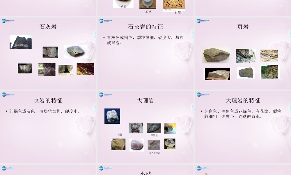 三年级科学下册《做个岩石百宝箱》课件2 青岛版