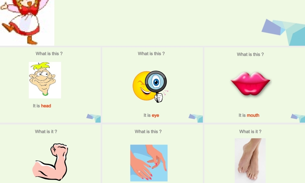 三年级英语上册 Unit 10 Touch yout head课件4 湘少版-湘少版小学三年级上册英语课件