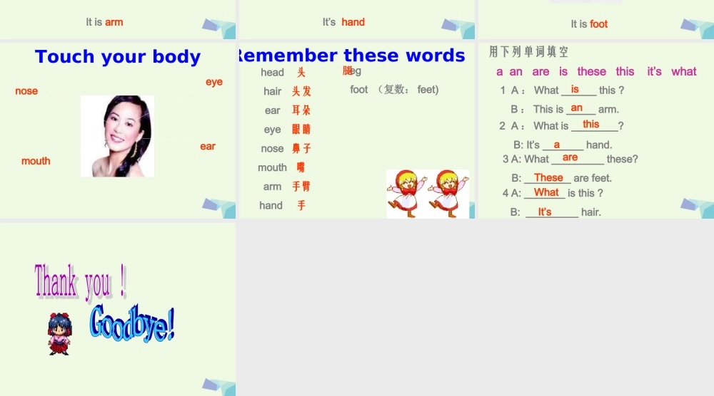 三年级英语上册 Unit 10 Touch yout head课件4 湘少版-湘少版小学三年级上册英语课件