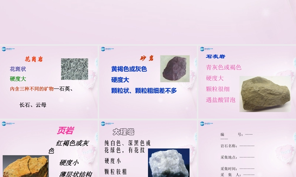 三年级科学下册《做个岩石百宝箱》课件3 青岛版