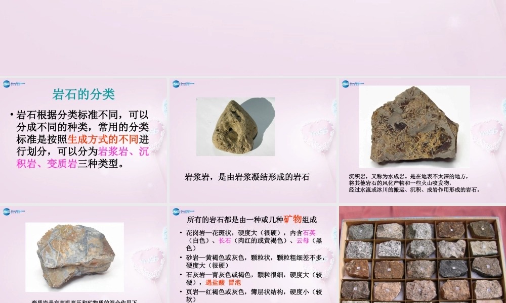 三年级科学下册《做个岩石百宝箱》课件4 青岛版