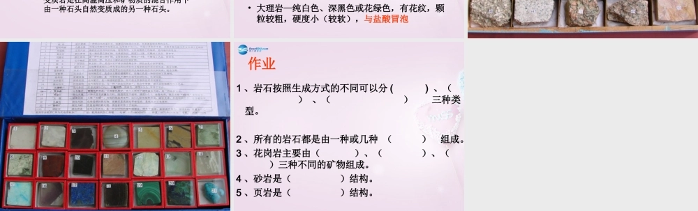 三年级科学下册《做个岩石百宝箱》课件4 青岛版