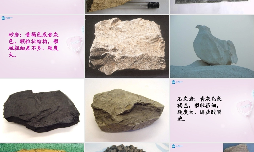 三年级科学下册《做个岩石百宝箱》课件5 青岛版