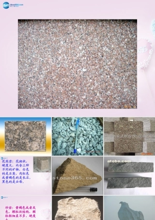 三年级科学下册《做个岩石百宝箱》课件5 青岛版