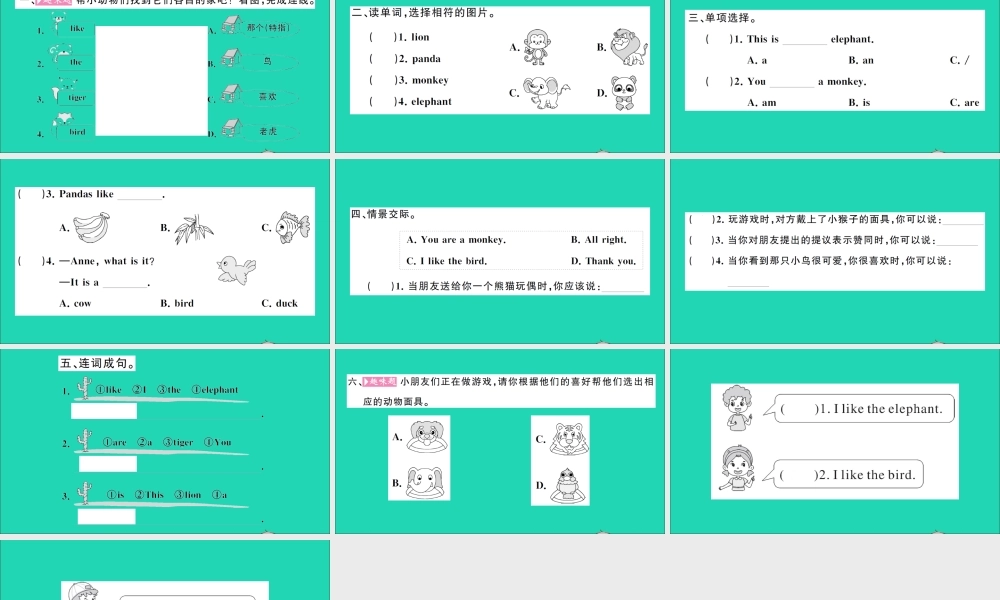 三年级英语上册 Unit 11 I like the bird第一课时作业课件 湘少版（三起）-湘少版小学三年级上册英语课件