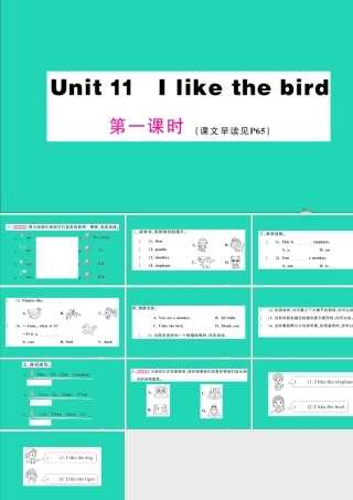 三年级英语上册 Unit 11 I like the bird第一课时作业课件 湘少版（三起）-湘少版小学三年级上册英语课件