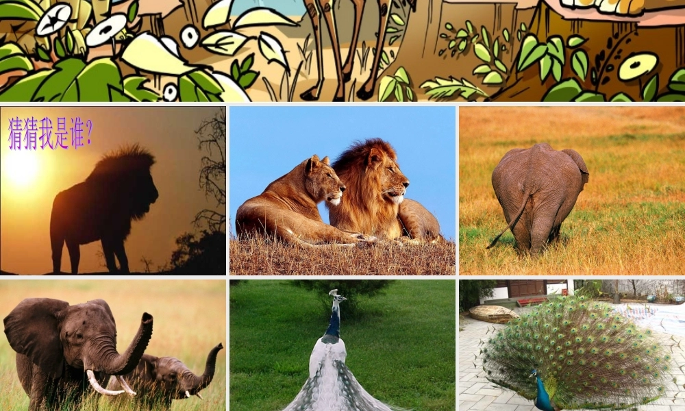 三年级美术下册 森林王国 课件 人美版