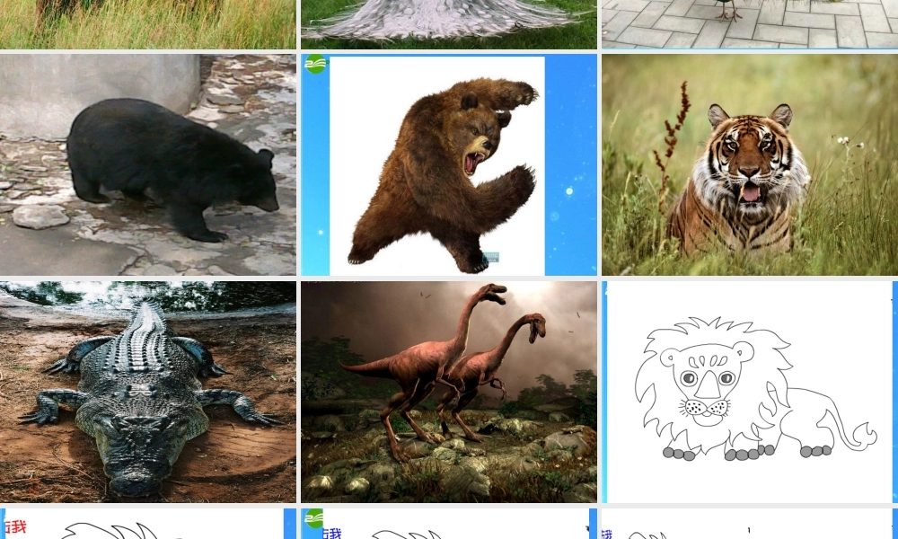 三年级美术下册 森林王国 课件 人美版