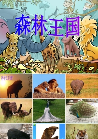 三年级美术下册 森林王国 课件 人美版