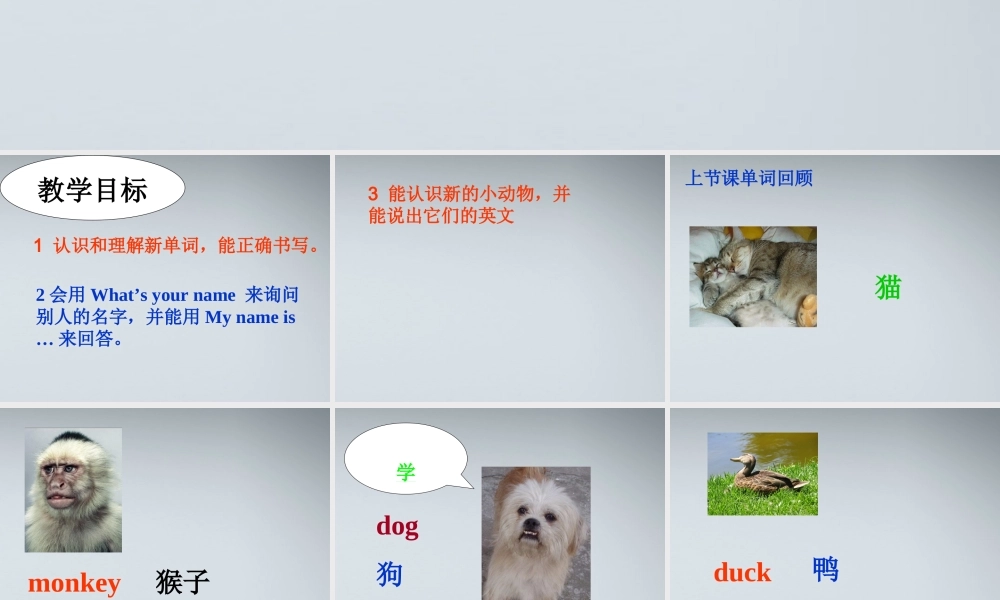 三年级英语  3A uint 1 (2)课件 人教新版