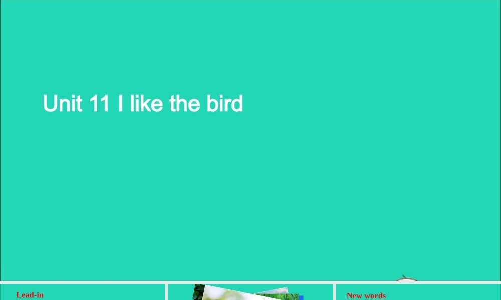 三年级英语上册 Unit 11 I like the bird课件+素材 湘少版