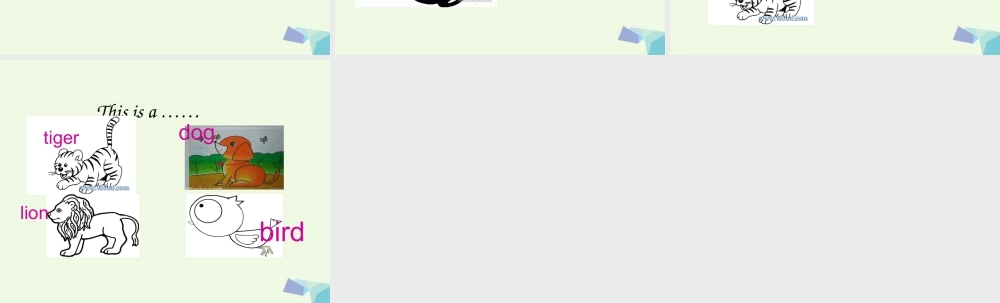 三年级英语上册 Unit 11 I like the bird课件1 湘少版-湘少版小学三年级上册英语课件