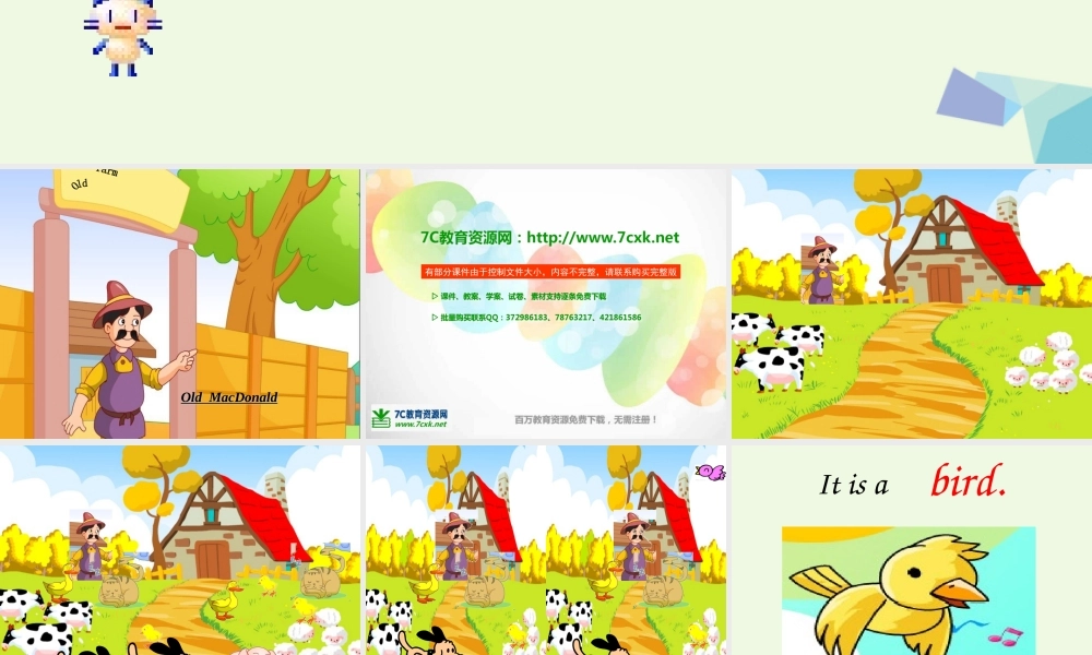 三年级英语上册 Unit 11 I like the bird课件3 湘少版-湘少版小学三年级上册英语课件