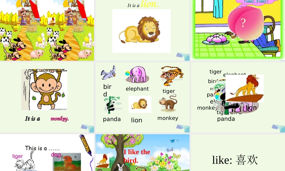 三年级英语上册 Unit 11 I like the bird课件3 湘少版-湘少版小学三年级上册英语课件
