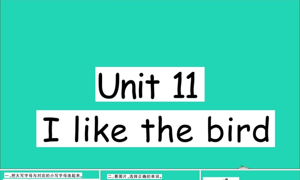 三年级英语上册 Unit 11 I like the bird作业课件 湘少版-湘少版小学三年级上册英语课件