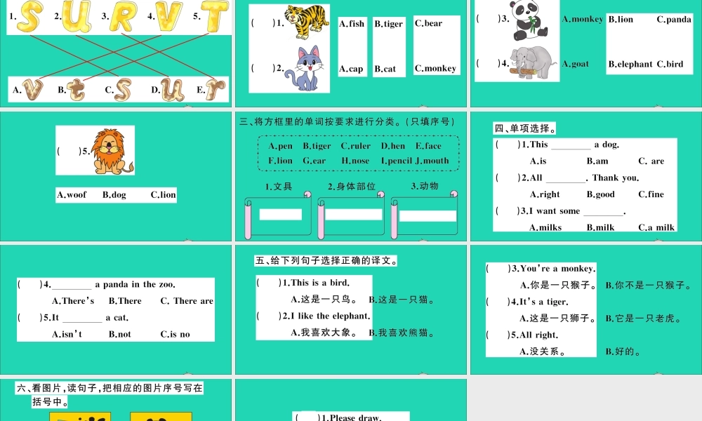 三年级英语上册 Unit 11 I like the bird作业课件 湘少版-湘少版小学三年级上册英语课件