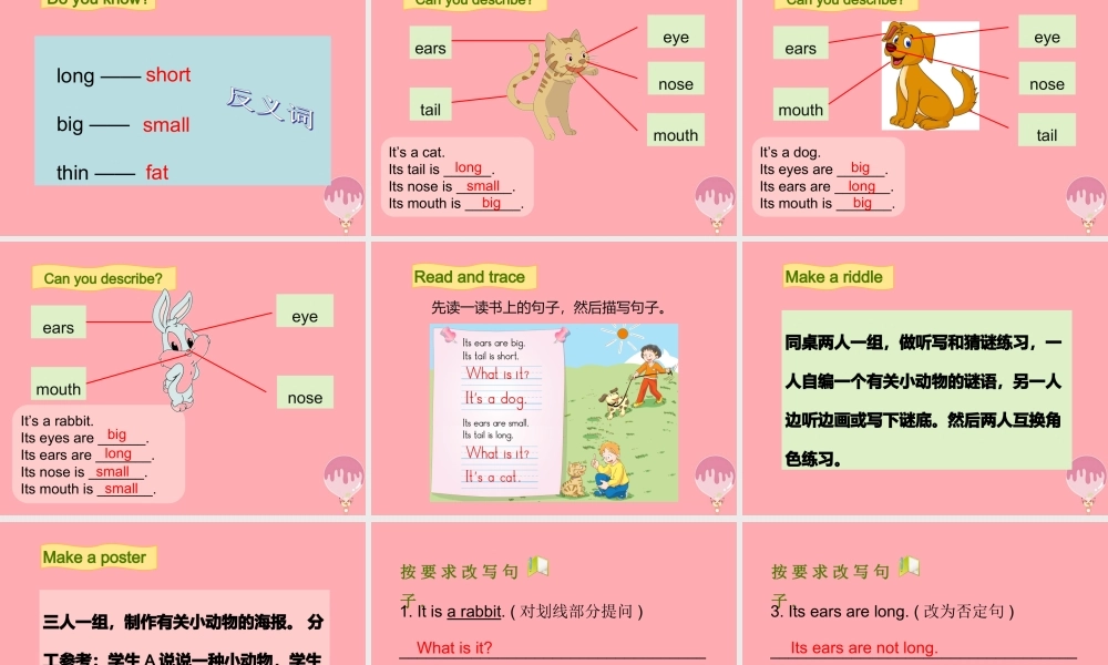 三年级英语上册 Unit 11 Small animals（第2课时）课件 牛津上海版-牛津上海版小学三年级上册英语课件