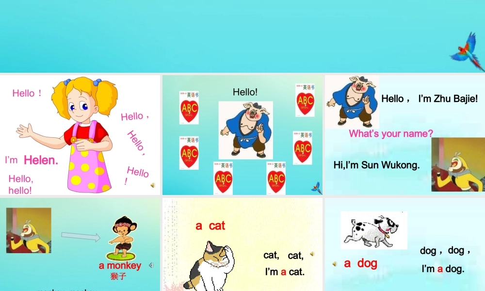 三年级英语上册 Lesson 1 I am a cat同步课件 科普版-人教版小学三年级上册英语课件