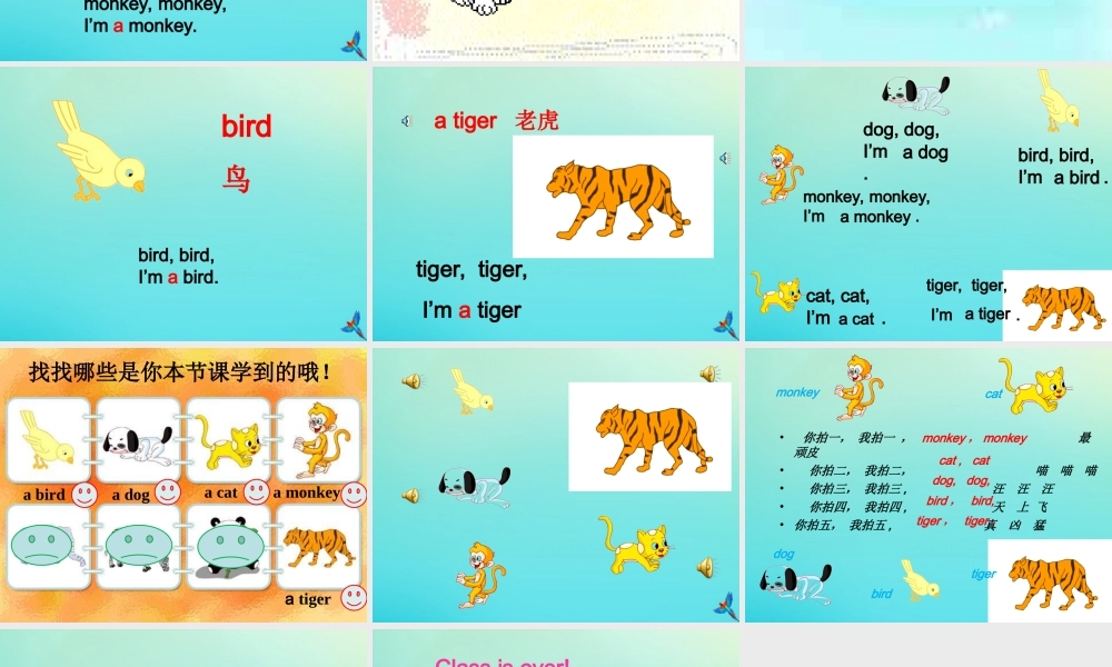 三年级英语上册 Lesson 1 I am a cat同步课件 科普版-人教版小学三年级上册英语课件