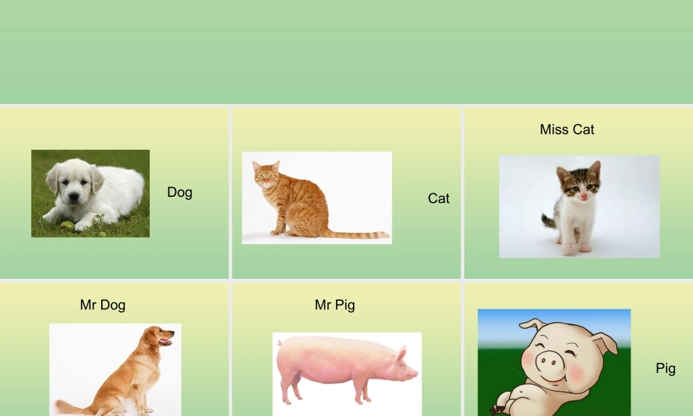三年级英语上册 Lesson 2 Are you Mr Dog课件 科普版-人教版小学三年级上册英语课件