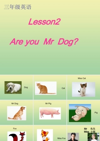 三年级英语上册 Lesson 2 Are you Mr Dog课件 科普版-人教版小学三年级上册英语课件