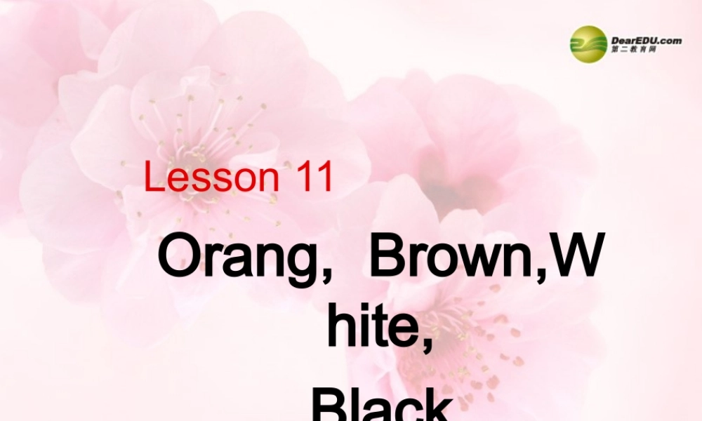 三年级英语上册 Lesson 11 orange, brown, white, black课件 （新版）冀教版