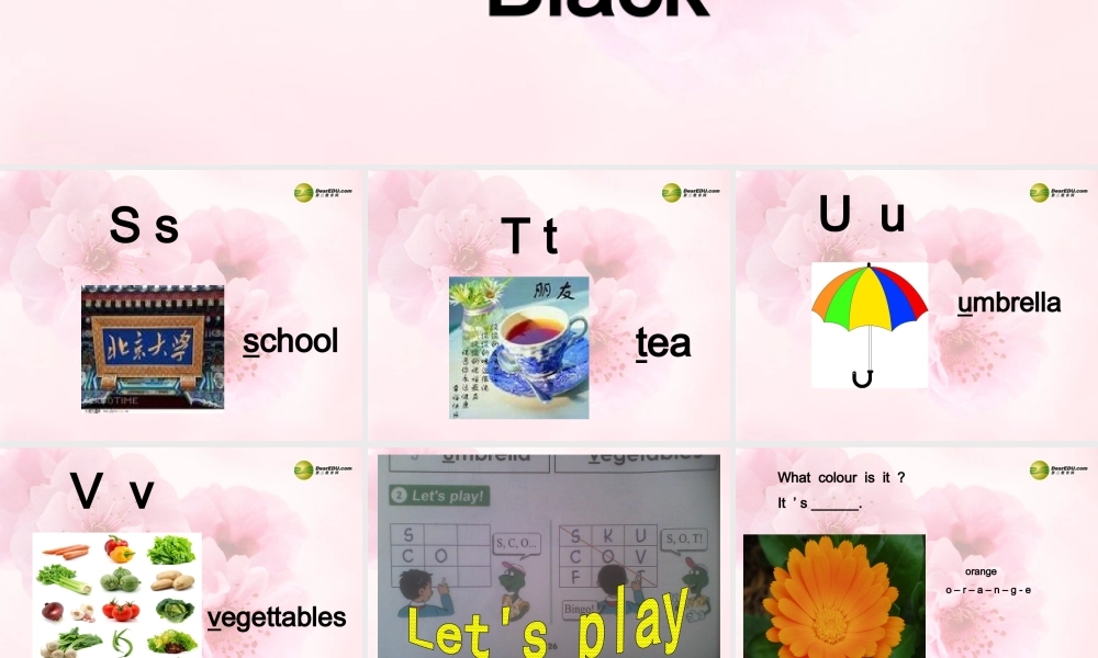 三年级英语上册 Lesson 11 orange, brown, white, black课件 （新版）冀教版