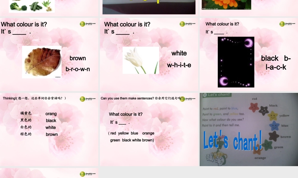 三年级英语上册 Lesson 11 orange, brown, white, black课件 （新版）冀教版
