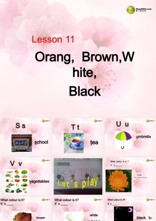 三年级英语上册 Lesson 11 orange, brown, white, black课件 （新版）冀教版