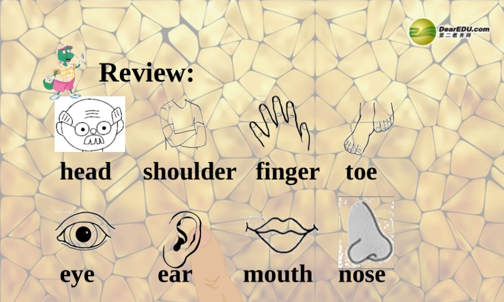 三年级英语上册 Lesson 14 My Body课件 （新版）冀教版