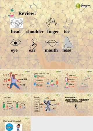 三年级英语上册 Lesson 14 My Body课件 （新版）冀教版