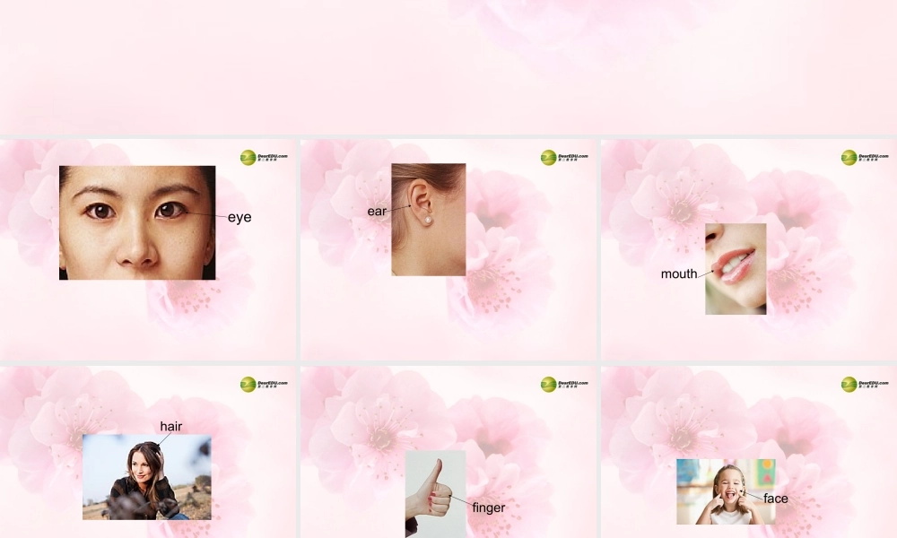 三年级英语上册 Lesson 15 Left and Right课件 （新版）冀教版