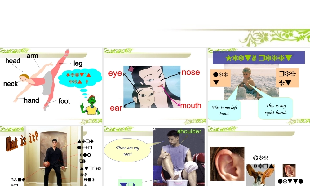 三年级英语上册课件 Unit 3 Lesson 24(1) 课件 冀教版