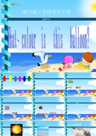 三年级英语下册  Unit 6What  colour  is   this   balloon课件 湘少版