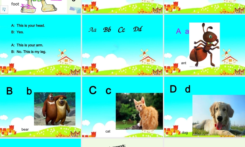 三年级英语上册 Unit 4 Lesson 1 This is my head课件1 鲁科版-鲁科版小学三年级上册英语课件