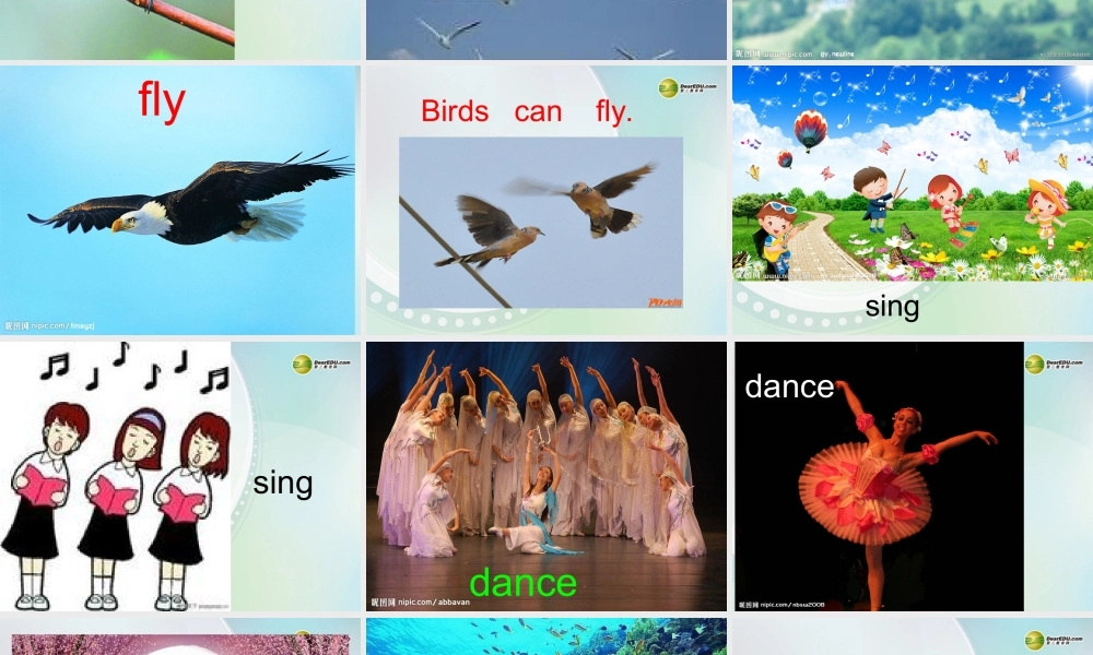 三年级英语下册 Lesson 3 Fish and Birds课件 （新版）冀教版